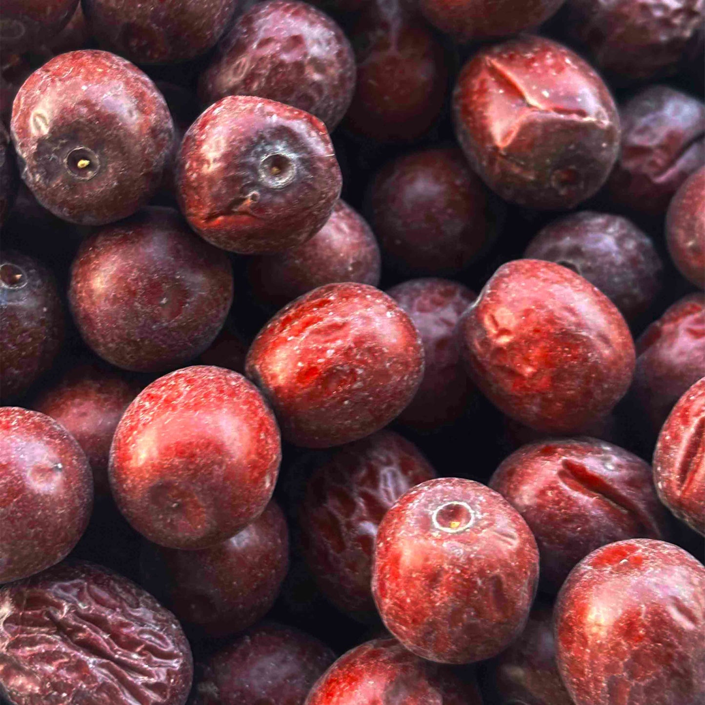 Annab (Getrocknete Jujuben)