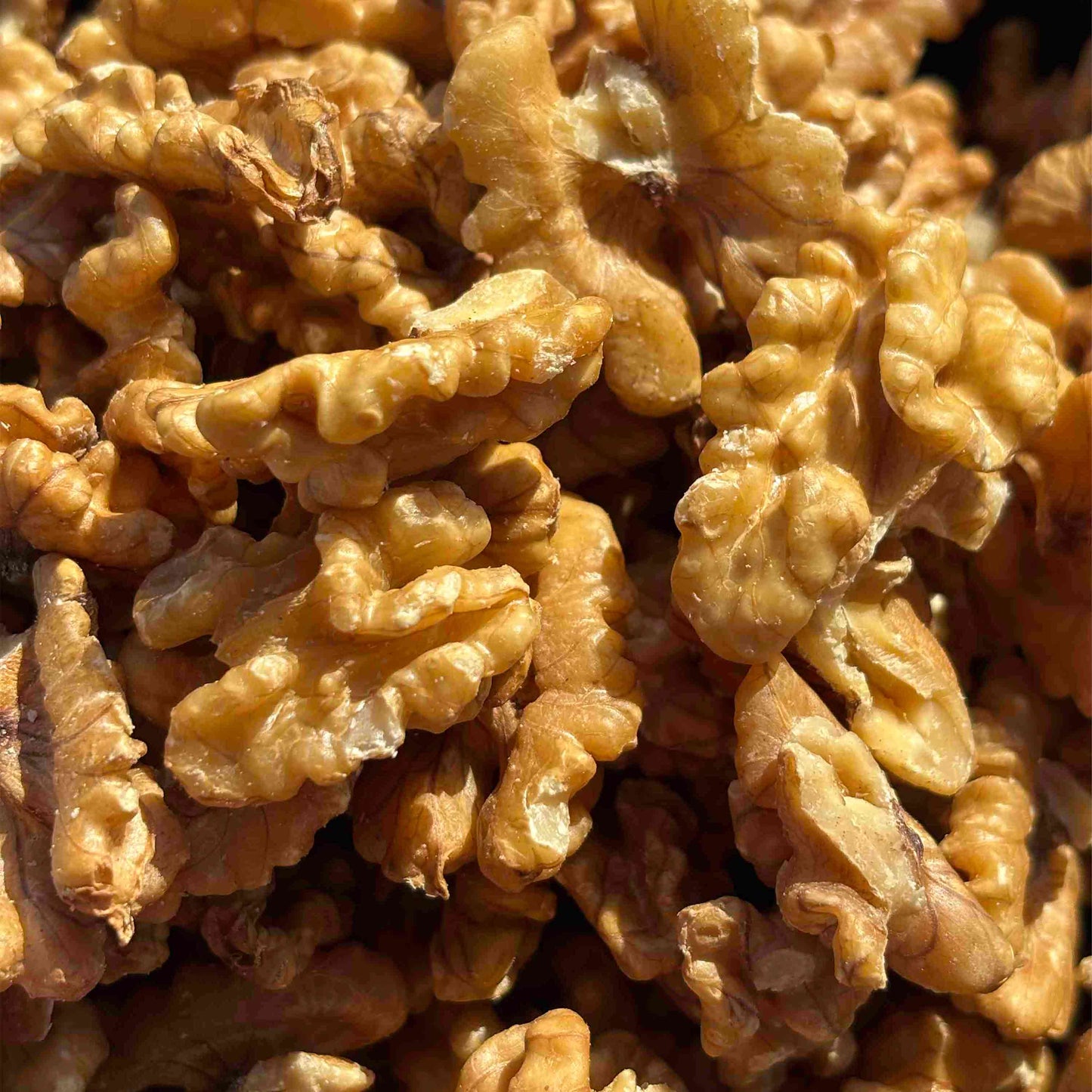 Frische Premium-Walnusskerne aus Chile