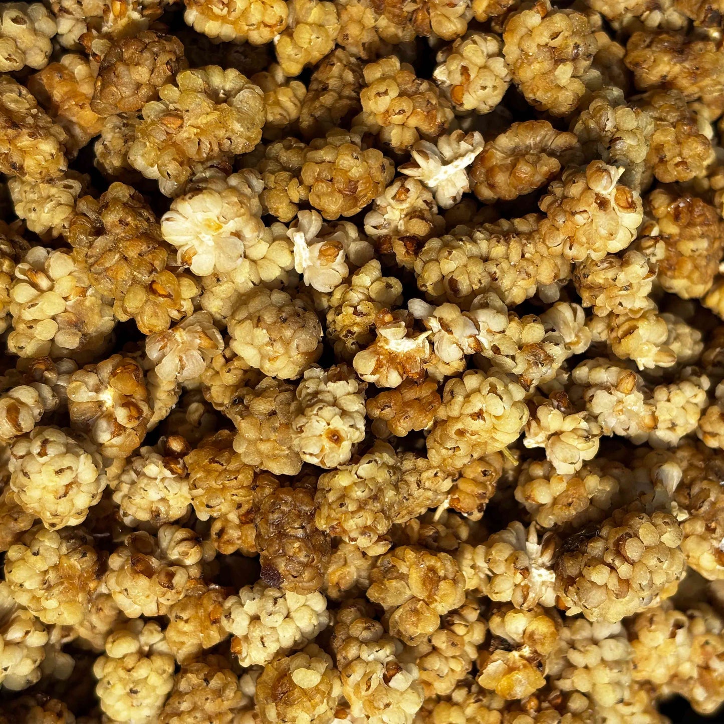 Getrocknete weiße Maulbeeren aus Badakhshan – Afghanistan