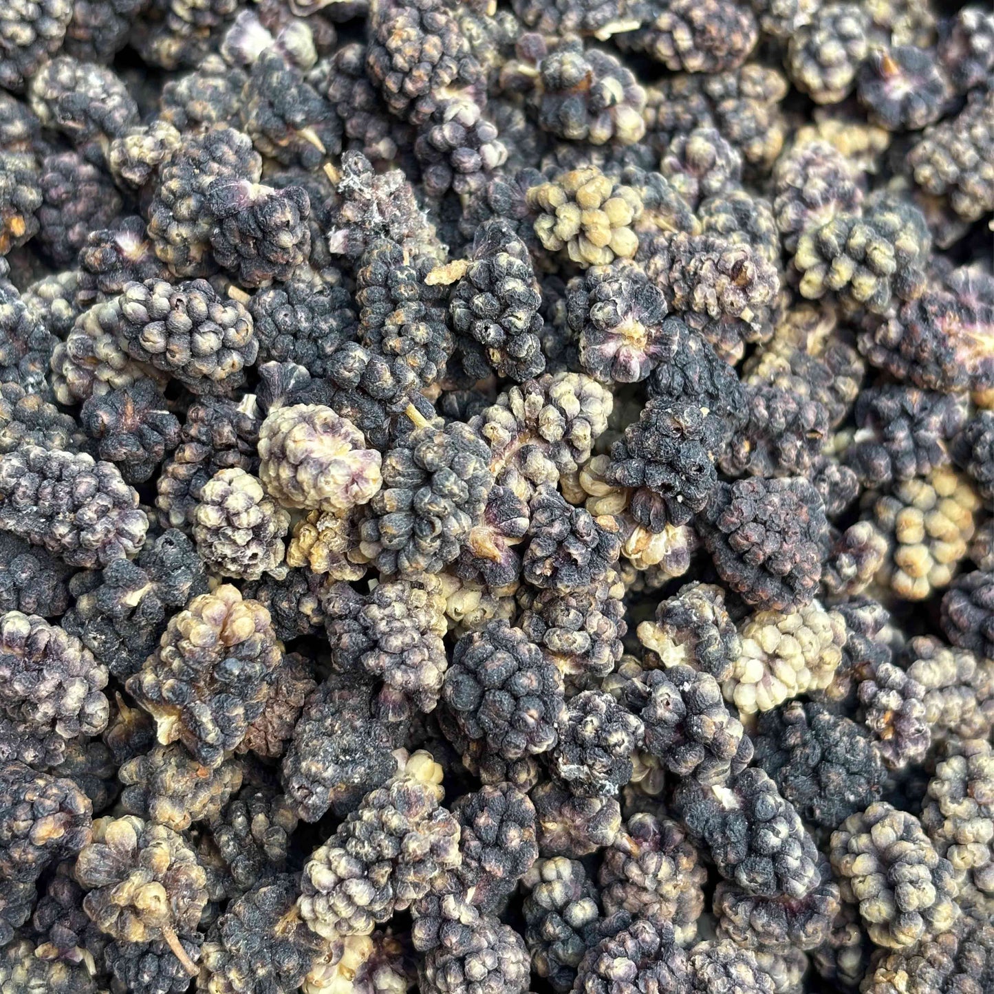 Getrocknete schwarze Maulbeeren aus Khanjan – Baghlan, Afghanistan