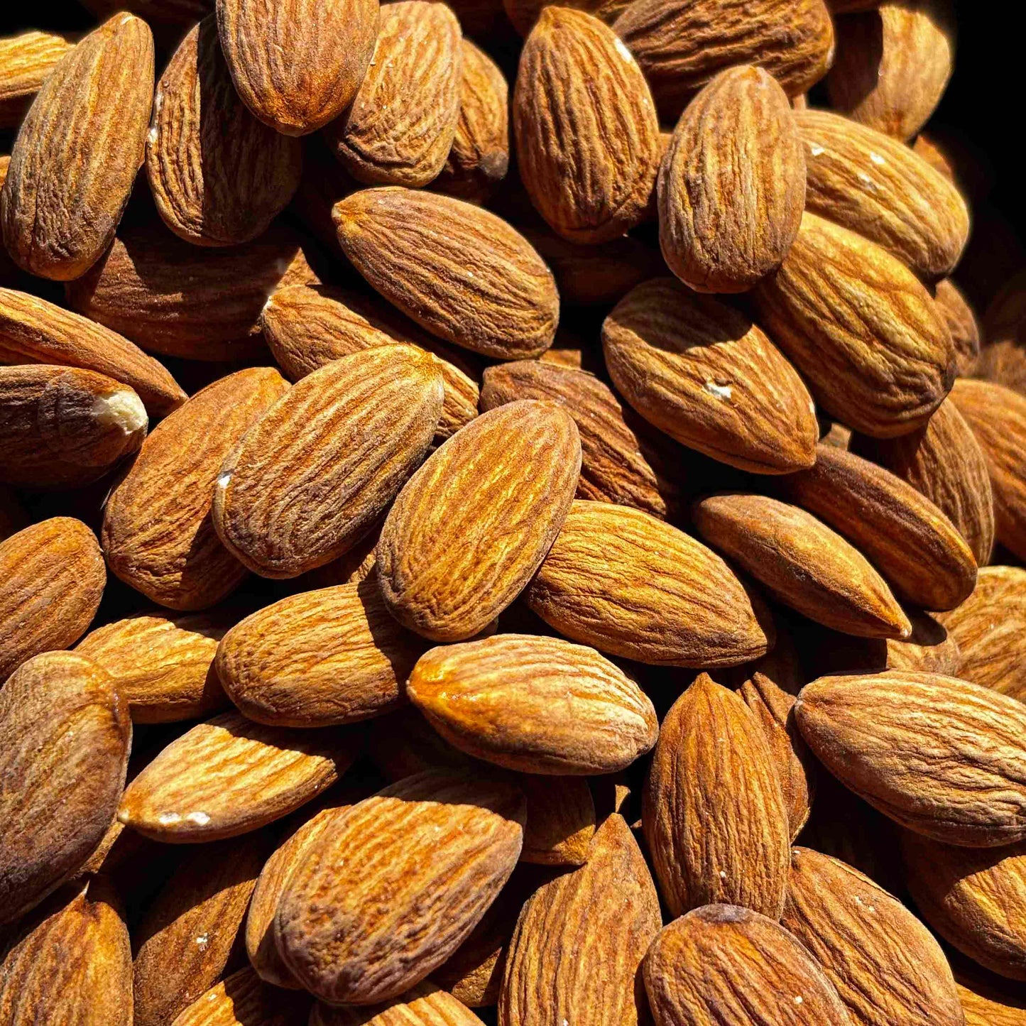 Amerikanische Mandelnkerne